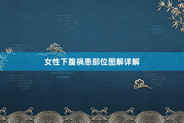 女性下腹祸患部位图解详解