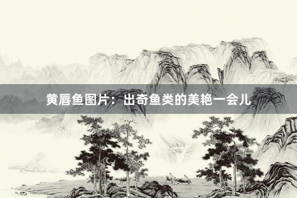 黄唇鱼图片：出奇鱼类的美艳一会儿